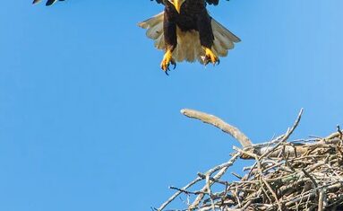 O que são arquétipos e como utilizá-los ao seu favor