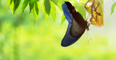 Sobre se apaixonar pelos processos desafiadores de transformação