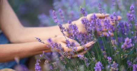 Lavanda para Ansiedade: Como Integrar na Sua Rotina de Yoga e Meditação